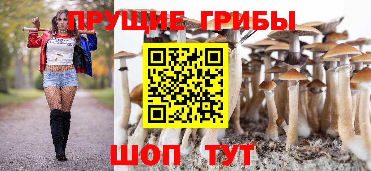 Галлюциногенные грибы мухоморы  Вход с VPN  Нальчик 