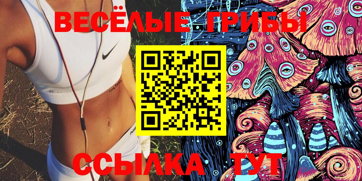Галлюциногенные грибы Cubensis Нальчик